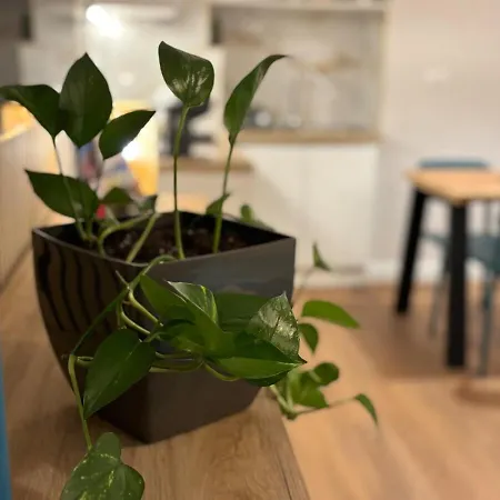 Binario 5, A Due Passi Da Porta Nuova E Dal Centro *