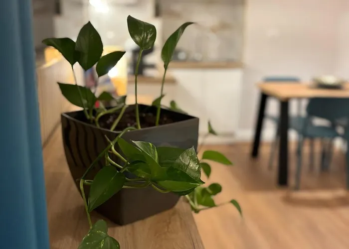 Binario 5, A Due Passi Da Porta Nuova E Dal Centro *